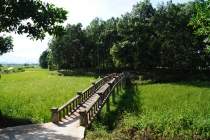 Ra mắt website Họ Lê Khắc Hương Khê