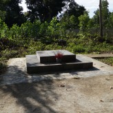 Một Đức Ông Thần Tổ